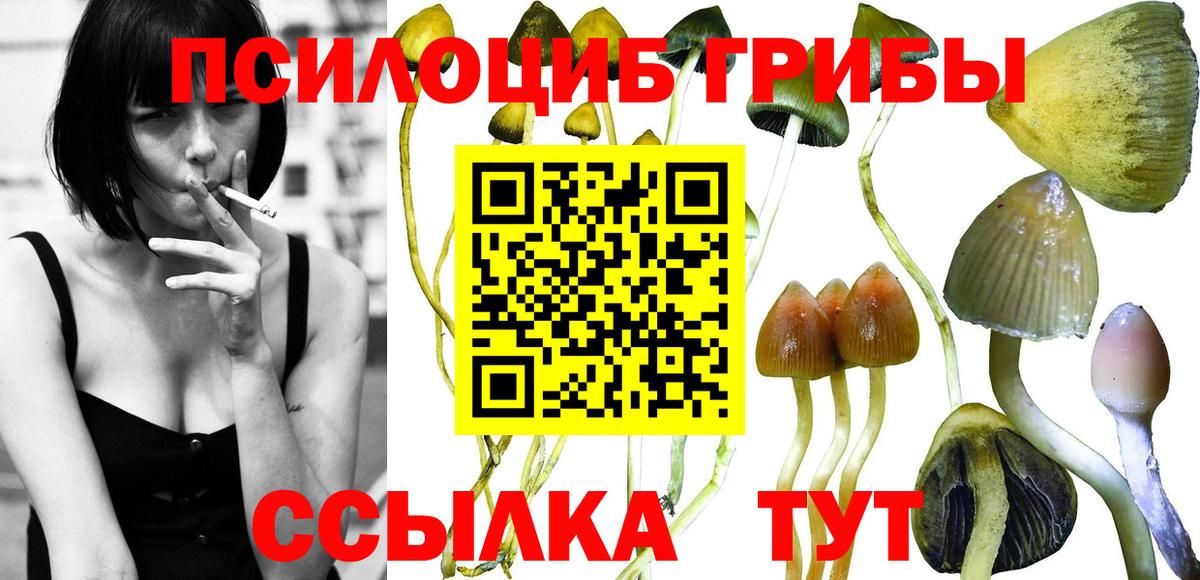 Галлюциногенные грибы Magic Shrooms Бузулук